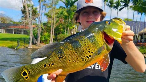 South Florida Peacock Bass Fishing With Captain Robert Miley