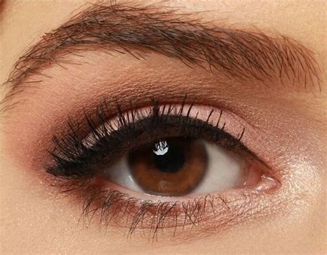 Marrones Eye Makeup Blue, Wedding Makeup For Brown Eyes, Pretty Eye ...