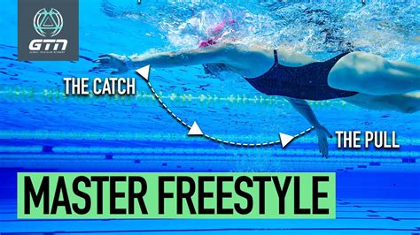 How To Achieve The Perfect Freestyle Stroke | Swimming Technique – WeightBlink