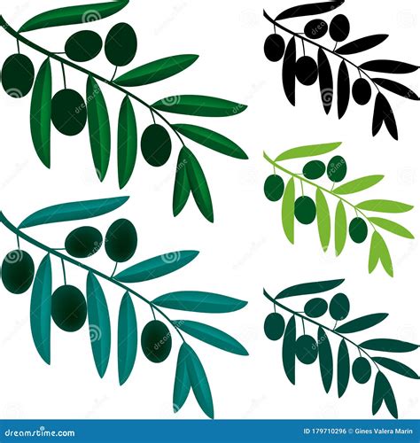 Olive Branch Symbol in Various Tones of Green and Black Stock Illustration - Illustration of ...