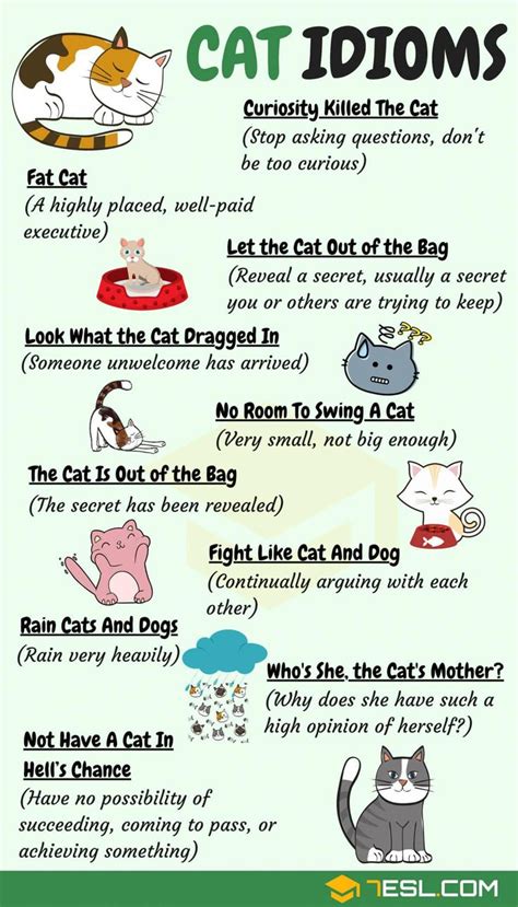 CAT Idioms: 30 Useful Cat Idioms & Sayings in English • 7ESL | English ...