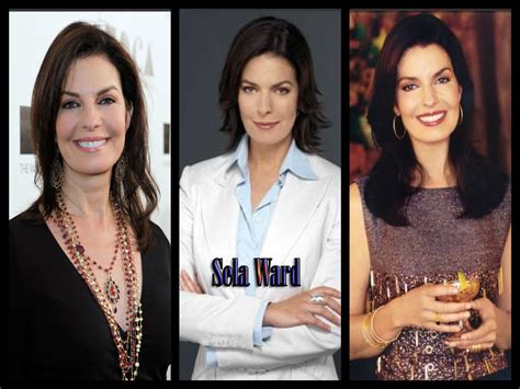 sela ward - CSI:NY Wallpaper (33656591) - Fanpop