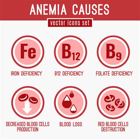 Anemia In Children: Symptoms, Causes & Treatment Options – ActiveBeat ...