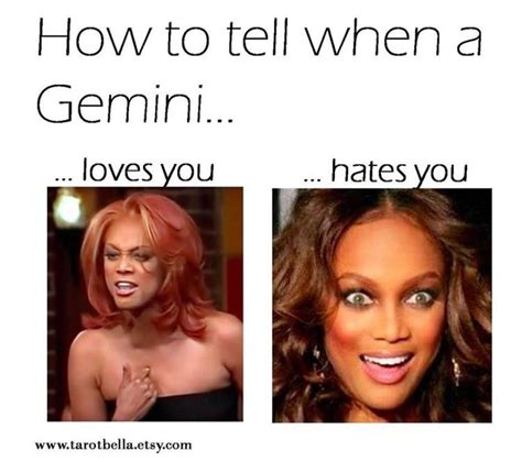 15 Gemini Season Memes to Wish Your Favorite Air Sign a Happy Birthday