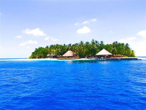 Paradise Island, The Maldives Torch Lake, Paradise Island, Maldives, Us Travel, Sydney Opera ...