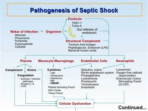 Pneumonia And Sepsis - Pneumonia 2020