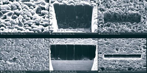 Improving lithium metal batteries | MSUToday | Michigan State University