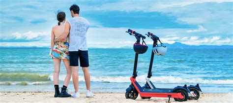 Electric Scooter with Removable Battery - HX Electric Scooter Online Store