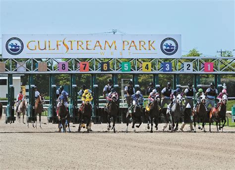 Gulfstream Park: Stakes spot plays for Jan. 30 | TwinSpires