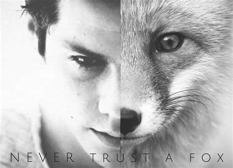 Stiles #TeenWolf ''Never trust a fox!'' | Sfondi