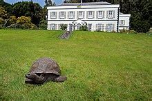 Jonathan (tortoise) - Wikipedia