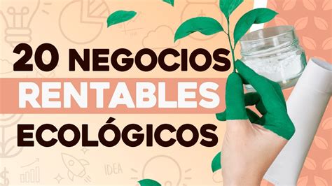 ♻️ 20 Negocios Rentables Ecológicos 🌱 Negocios Sustentables - YouTube