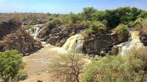 Awash National Park, a wonder in the heart of Ethiopia