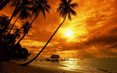 Sunset Background Tropical Paradise : To get more templates about posters,flyers,brochures,card ...