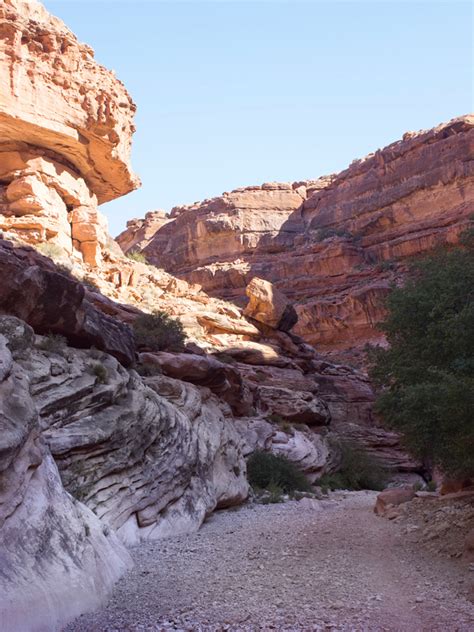 AZ's Havasu Falls Hiking Trail: Turquoise Blue Splendor in the desert