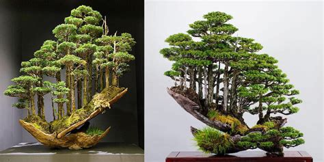 Bonsai Master Masahiko Kimura Takes The Craft To A Whole New Level By ...