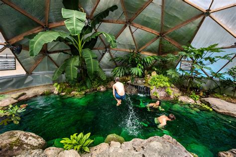 Tropical Greenhouse in Cold Climate - Growing Spaces