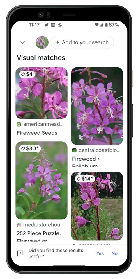 How to Identify Plants With Google Lens: Quick, Easy + FREE - Simply ...