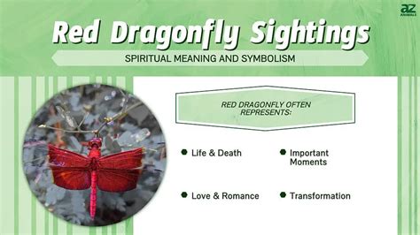 What is the spiritual meaning of a red dragonfly landing on you?