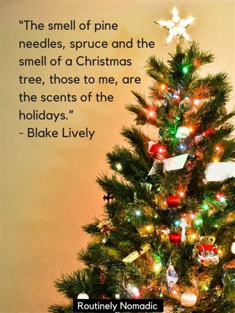 100 Festive Christmas Tree Quotes for 2023 | Routinely Nomadic