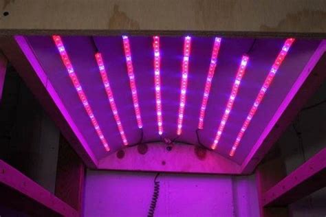 14 DIY LED Grow Light Projects For Planting Enthusiasts - All Sands