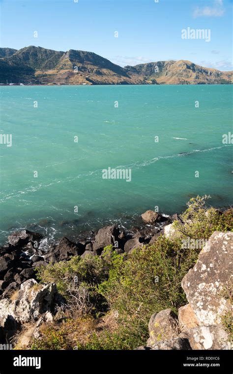 Lyttelton Harbour, Canterbury, South Island, New Zealand Stock Photo - Alamy