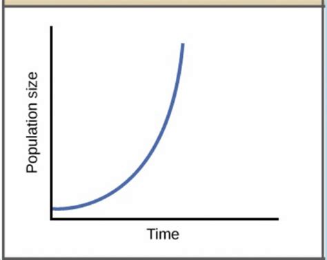 Population Ecology: graphs Flashcards | Quizlet