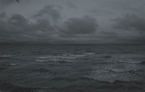 Wallpaper Bird, Sea, Ocean, Grey images for desktop, section пейзажи - download