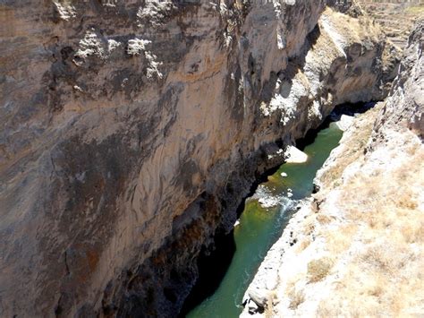 The Condors of Colca Canyon - Peru - Tessa's Blog