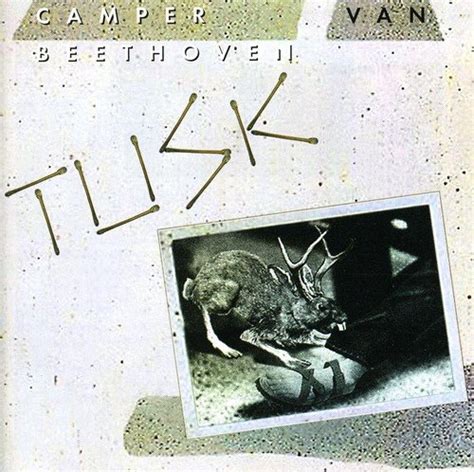 Cover Classics: Camper Van Beethoven’s ‘Tusk’ - Cover Me