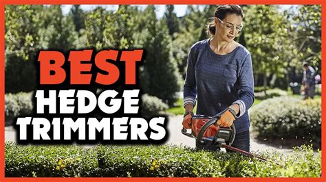 Top 5 Best Hedge Trimmers Review In 2023 - YouTube