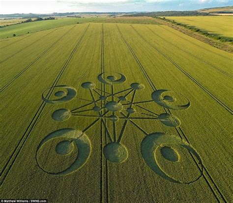 Amazing Crop Circle Appears in Dorset Wheat Field | Crop circles ...