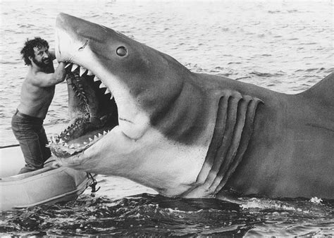 Why Bruce the shark from Jaws is the greatest practical effect ever made — The Daily Jaws