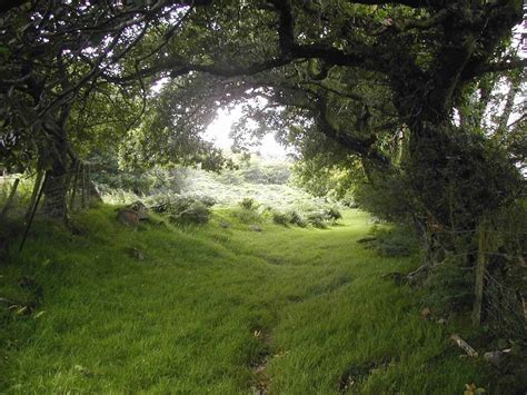 A green lane in England. | Walk around the world, Beautiful nature ...