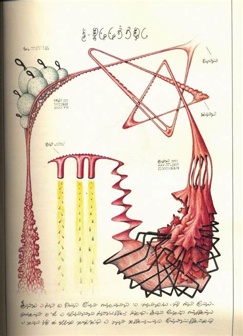 transparent abelard jeff gburek: Codex Seraphinianus