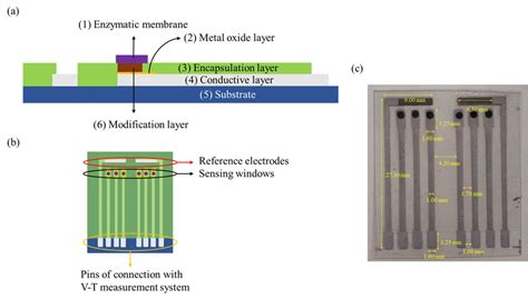 Schematic diagrams of the potentiometric arrayed glucose biosensor: (a ...