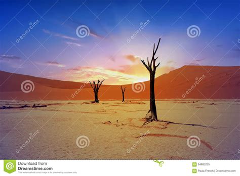 Landscape of Namib Naukluft National Park at Sunrise in Namibia Stock Image - Image of burnt ...