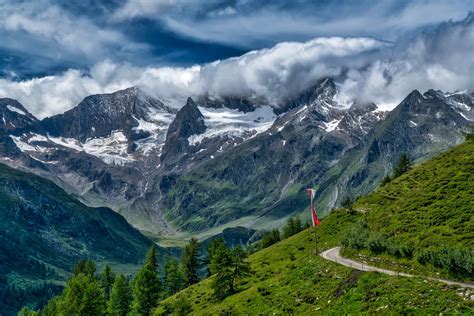 Majestic Alps Forest Landscape HD Wallpaper