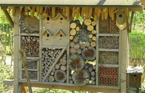 Insect Hotel • Insteading