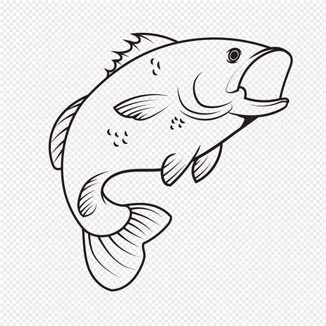 Hand drawn black and white line drawing fish vector elements png image_picture free download ...