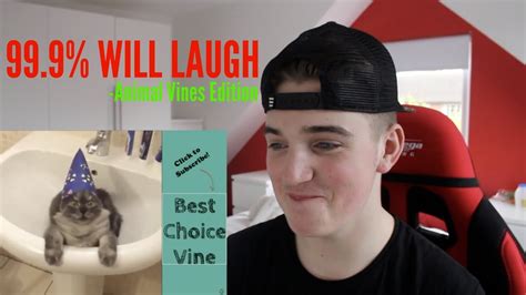 FUNNY ANIMAL VINES! TRY NOT TO LAUGH! *Reaction* - YouTube