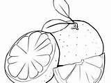 Plants Coloring Pages  Coloringfoldercom sketch template
