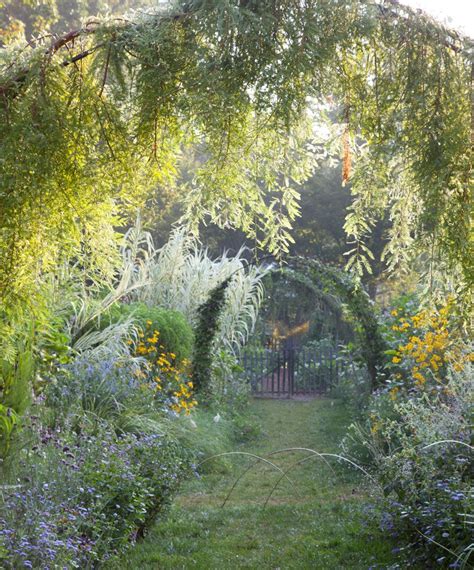 Dreamy herbaceous border! Herbaceous Border, Welcome, Philadelphia, Garden Design, Dreamy ...