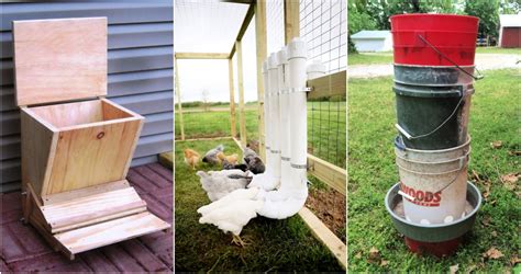 15 Homemade DIY Chicken Feeder Ideas