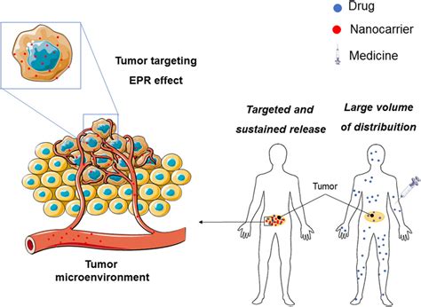 Nanotechnology application in the treatment of cancer: tumor targeting ...