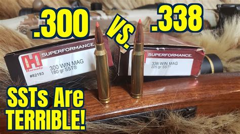 .300 win mag vs. .338 win mag Hornady Superformance SSTs - YouTube