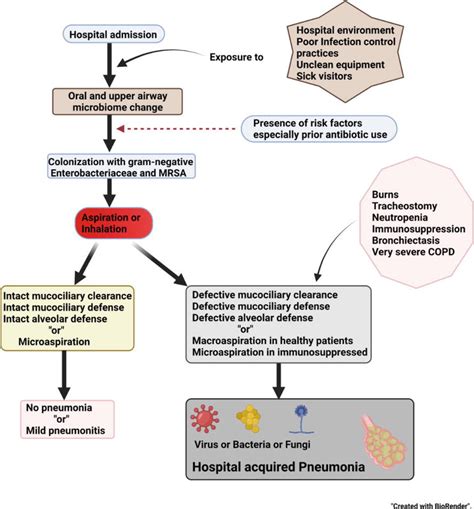 Hospital-Acquired Pneumonia | IntechOpen