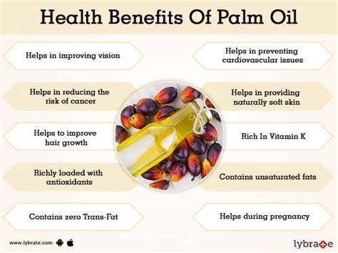 Palm oil Benefits And Its Side Effects | Lybrate