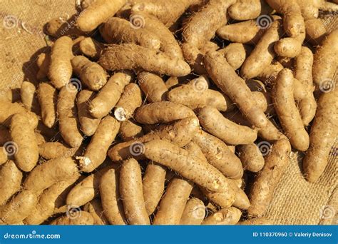 Yam tubers stock photo. Image of close, vegetarianism - 110370960