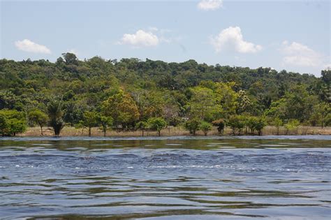 Amazon River | Nao Iizuka | Flickr